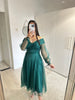 1162 - Green dress